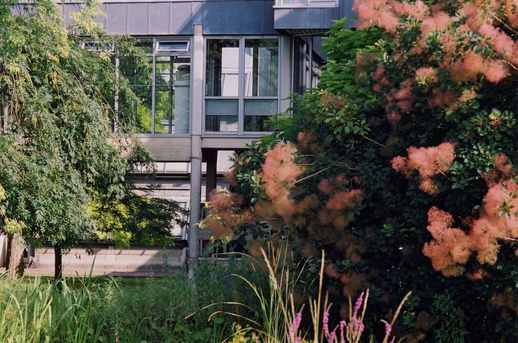 Egrove Park, Of
